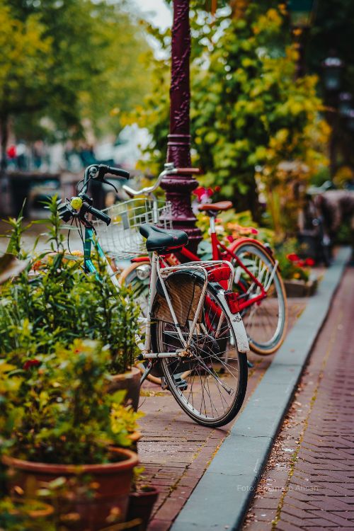 Viaje a Medida en Ámsterdam